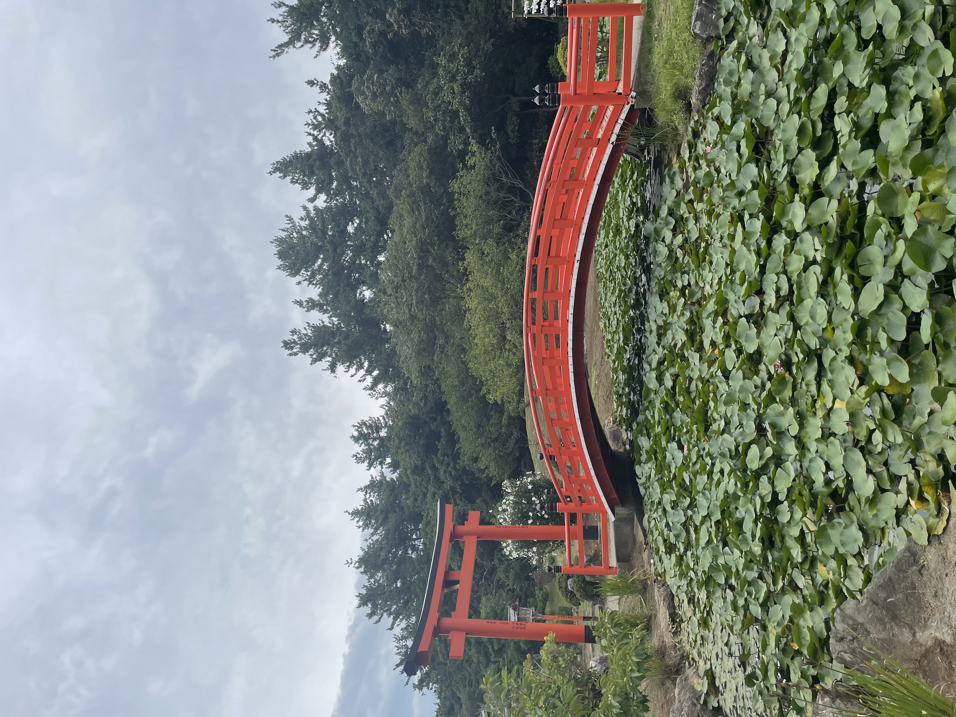 エコットのプロフィール画像